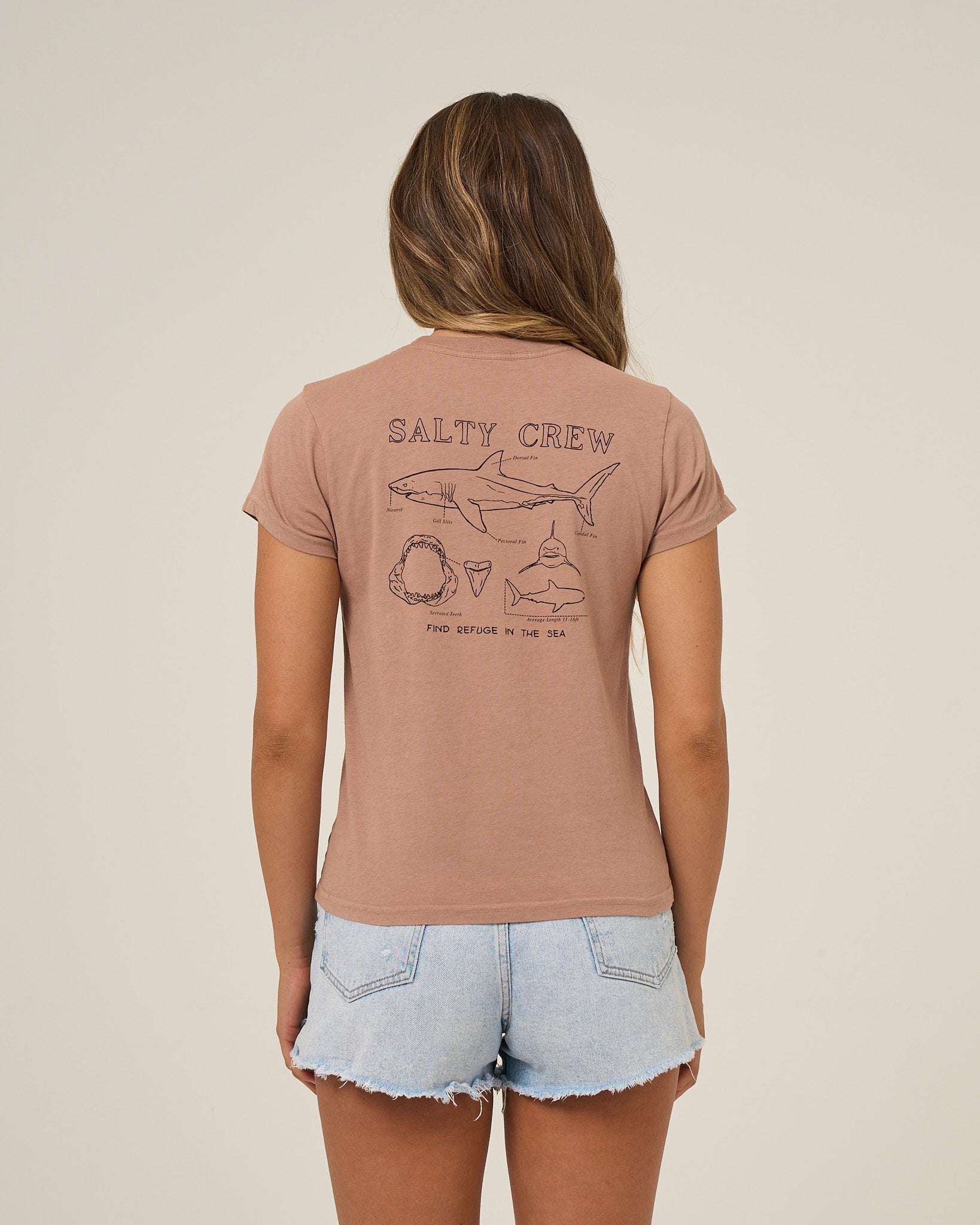 Salty Crew SHARK ANATOMY MODERN TEE