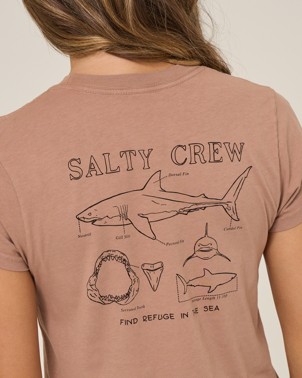 Salty Crew SHARK ANATOMY MODERN TEE