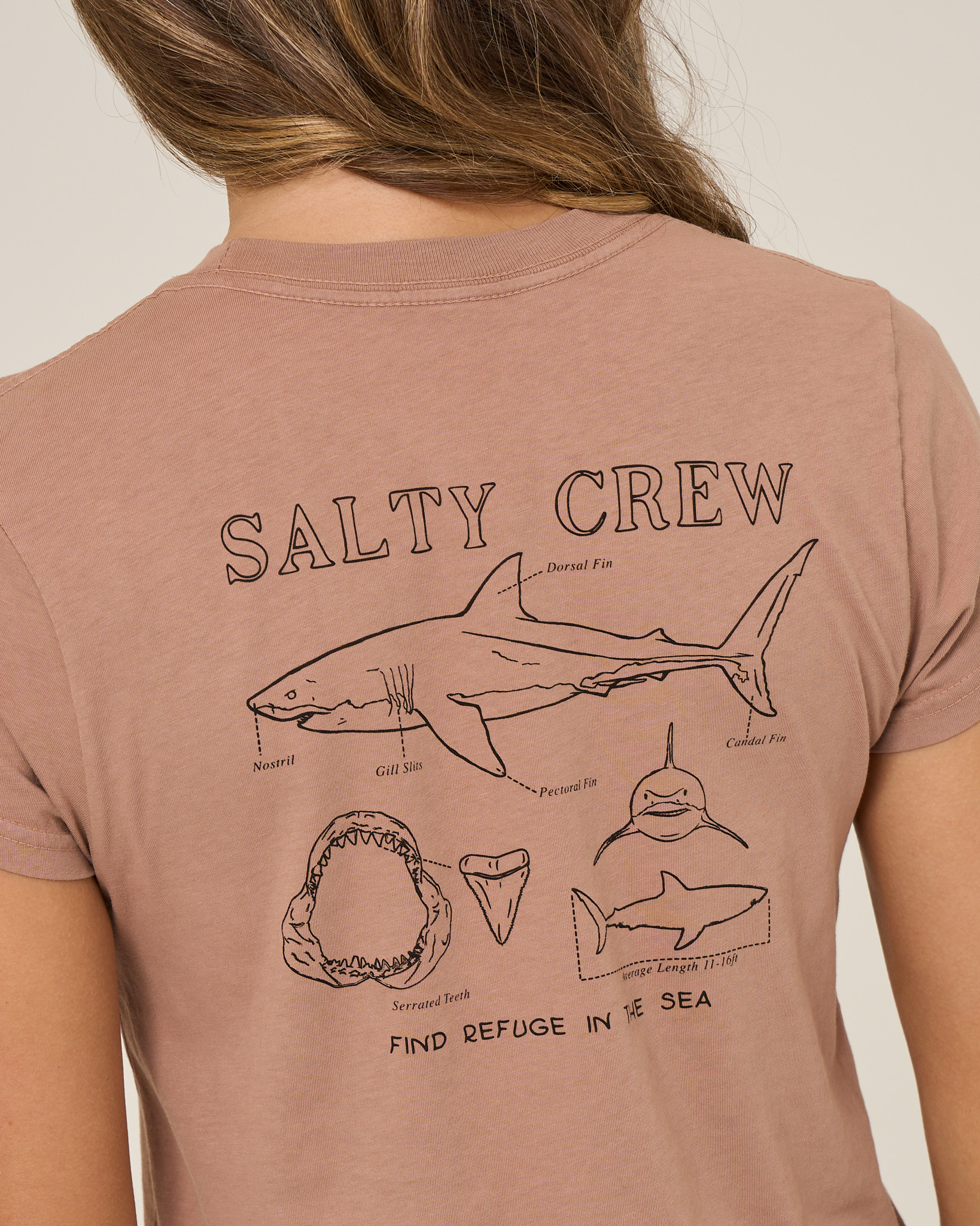 Salty Crew SHARK ANATOMY MODERN TEE