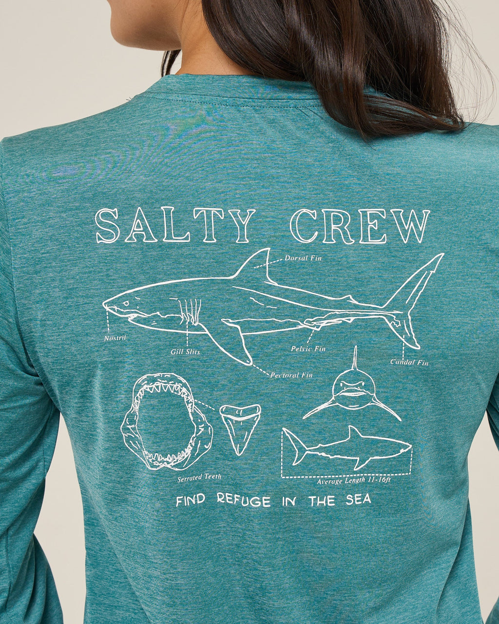 Salty Crew SHARK ANATOMY SUNSHIRT