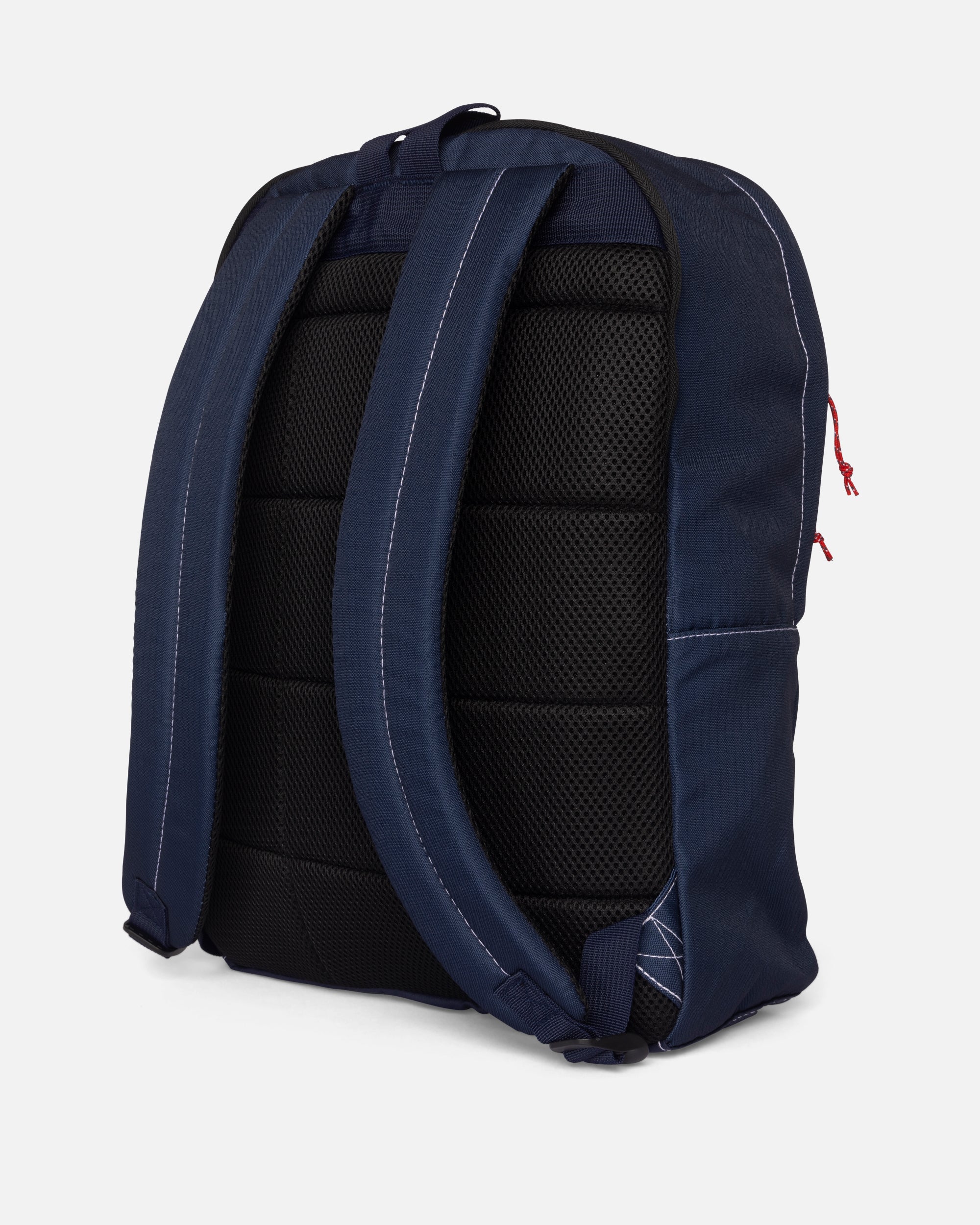 Salty Crew ALPHA BACKPACK