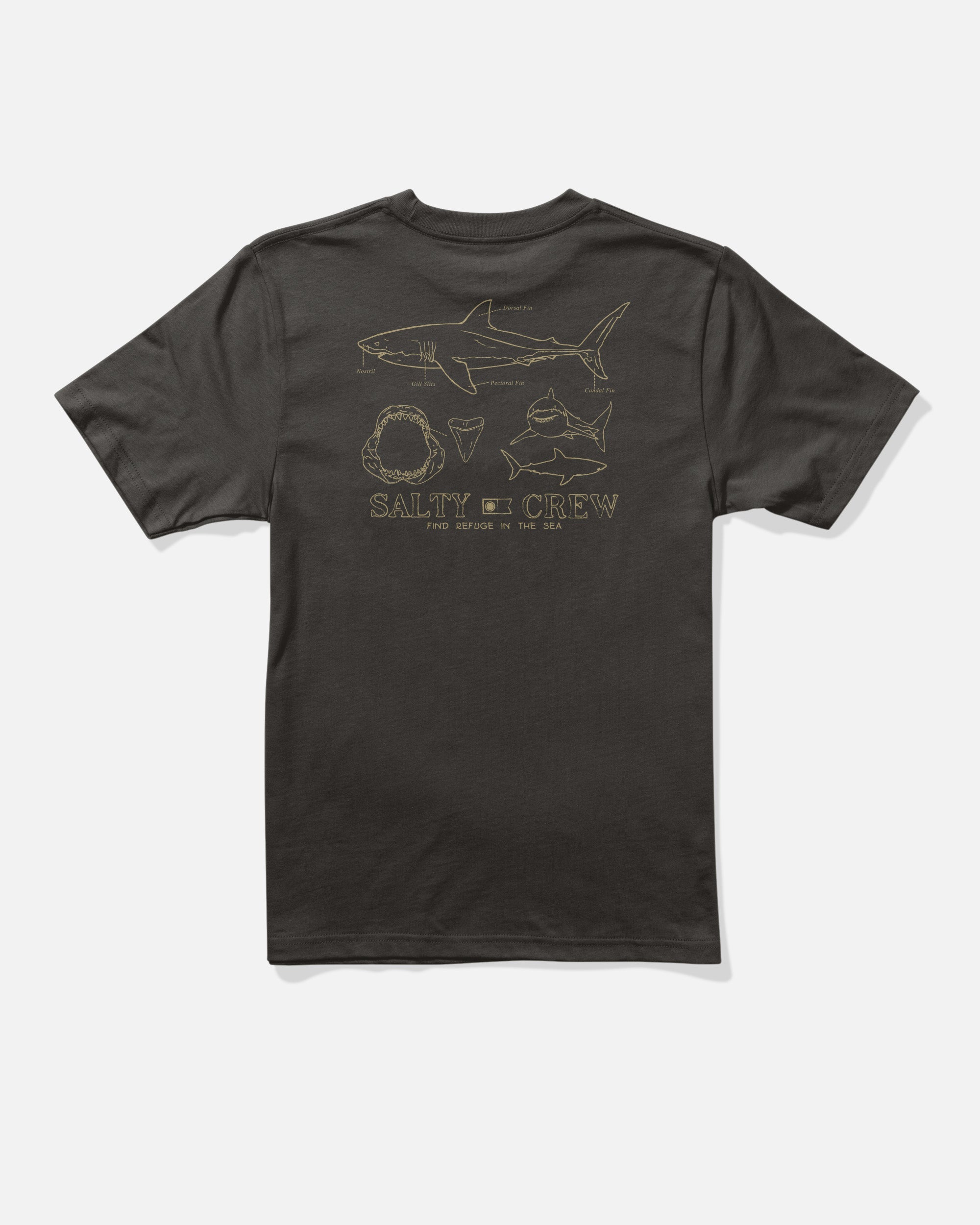 Salty Crew GREAT WHITE BOYS SS TEE