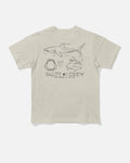 Salty Crew GREAT WHITE TDDLR SS TEE