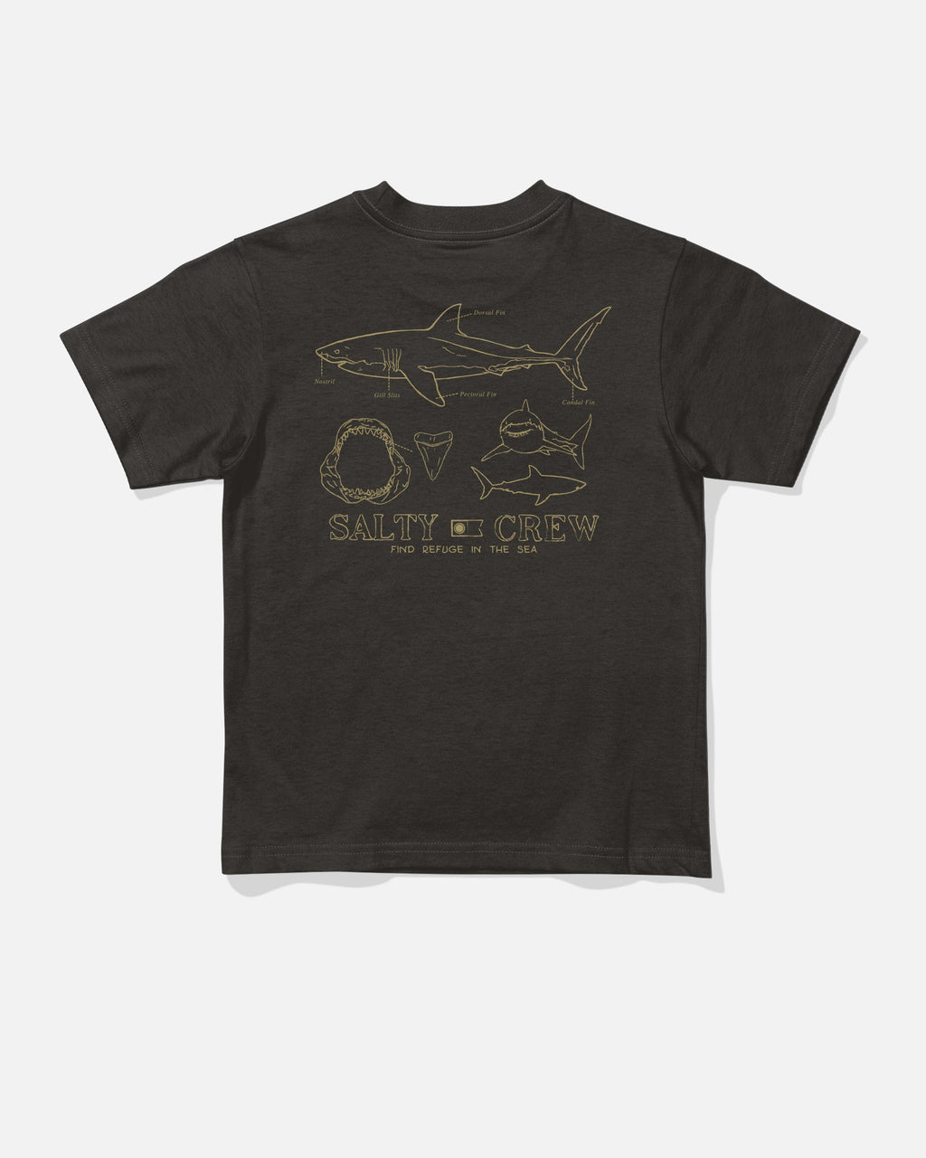 Salty Crew GREAT WHITE TDDLR SS TEE