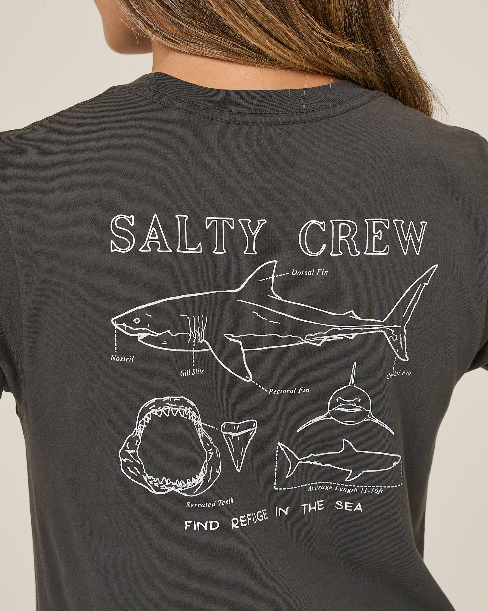 Salty Crew SHARK ANATOMY MODERN TEE