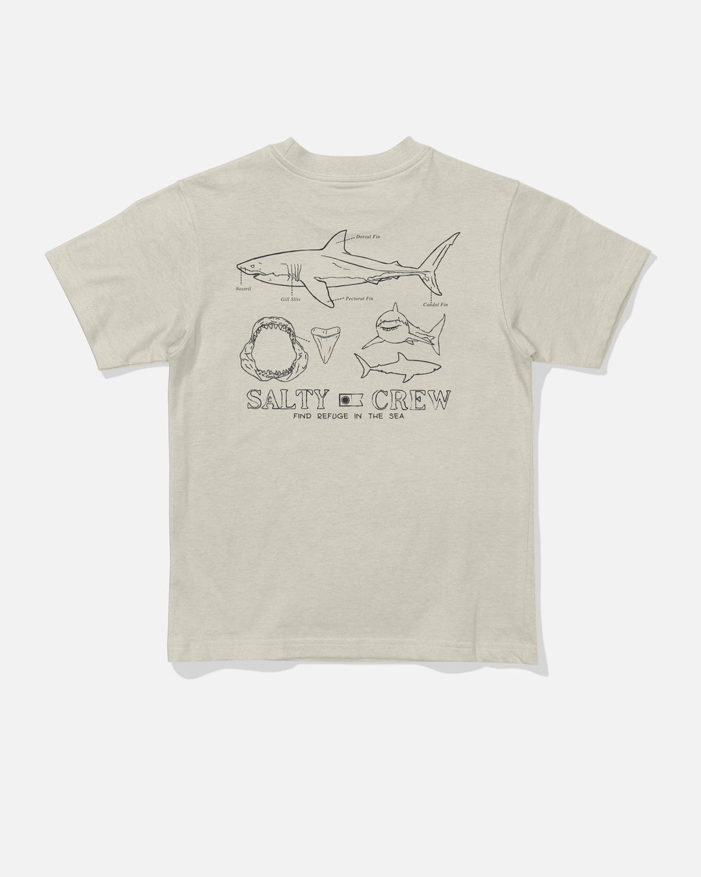 Salty Crew GREAT WHITE TDDLR SS TEE - Bone