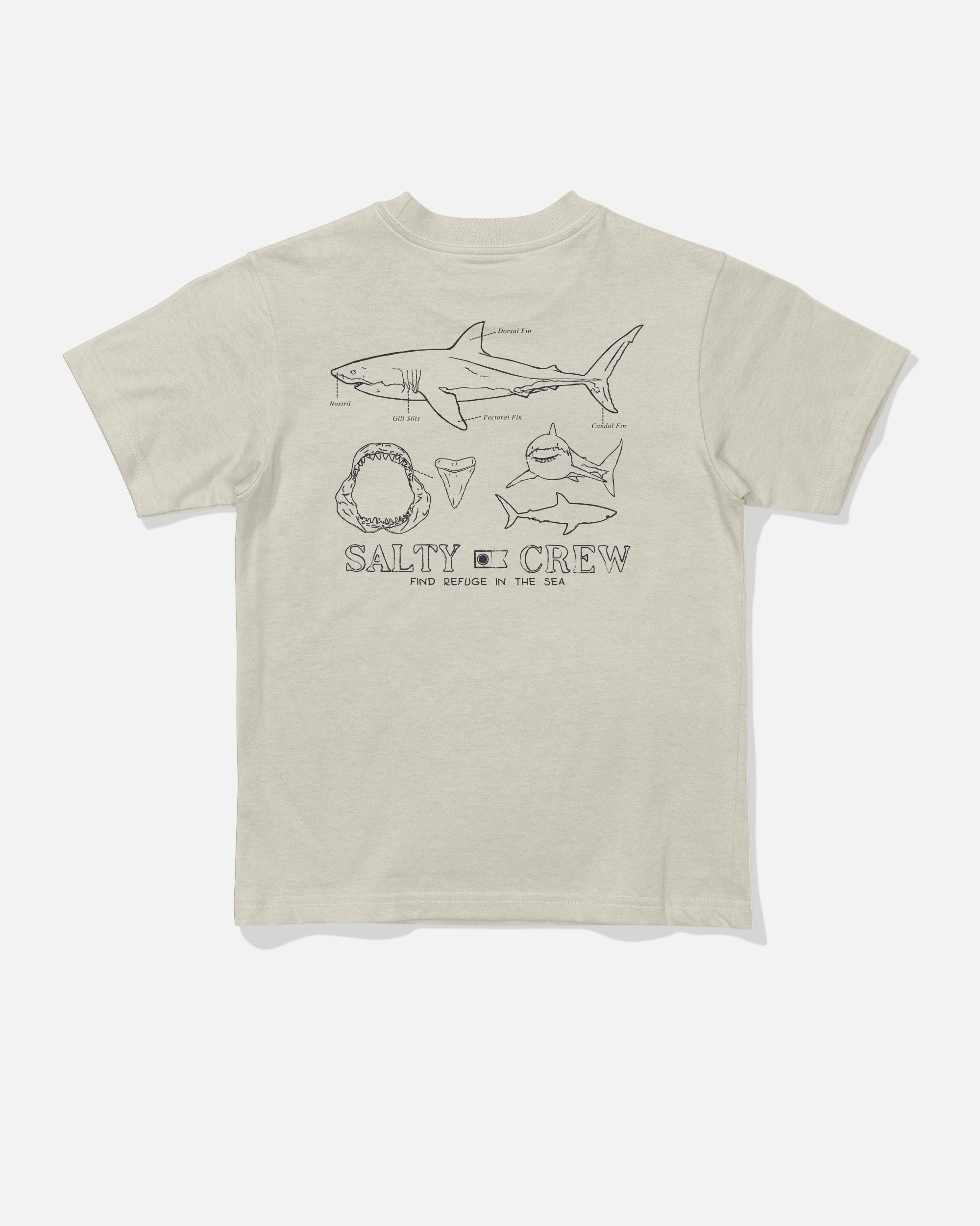 Salty Crew GREAT WHITE TDDLR SS TEE - Bone