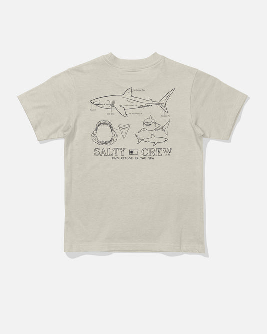 Salty Crew GREAT WHITE TDDLR SS TEE - Bone