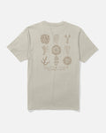 Salty Crew CORAL HEAD SS TEE - Bone