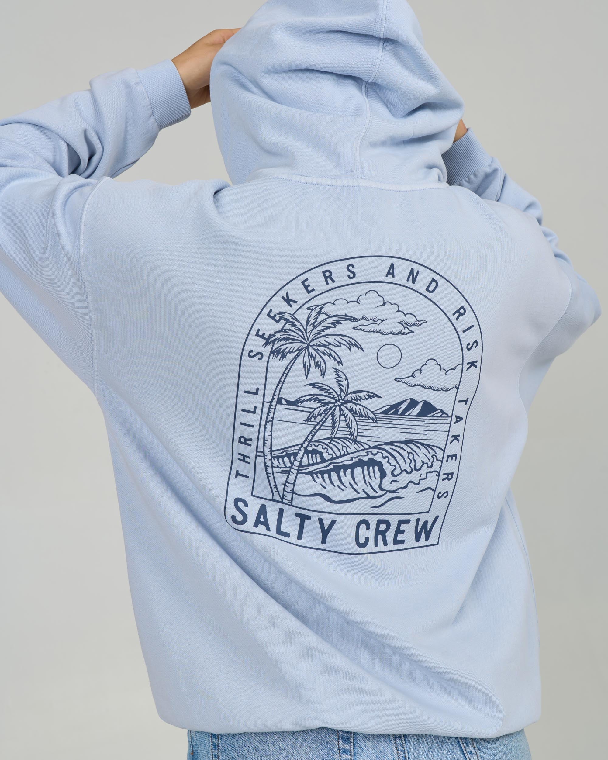 Salty Crew ARCHWAY ZIP HOODY - Fog